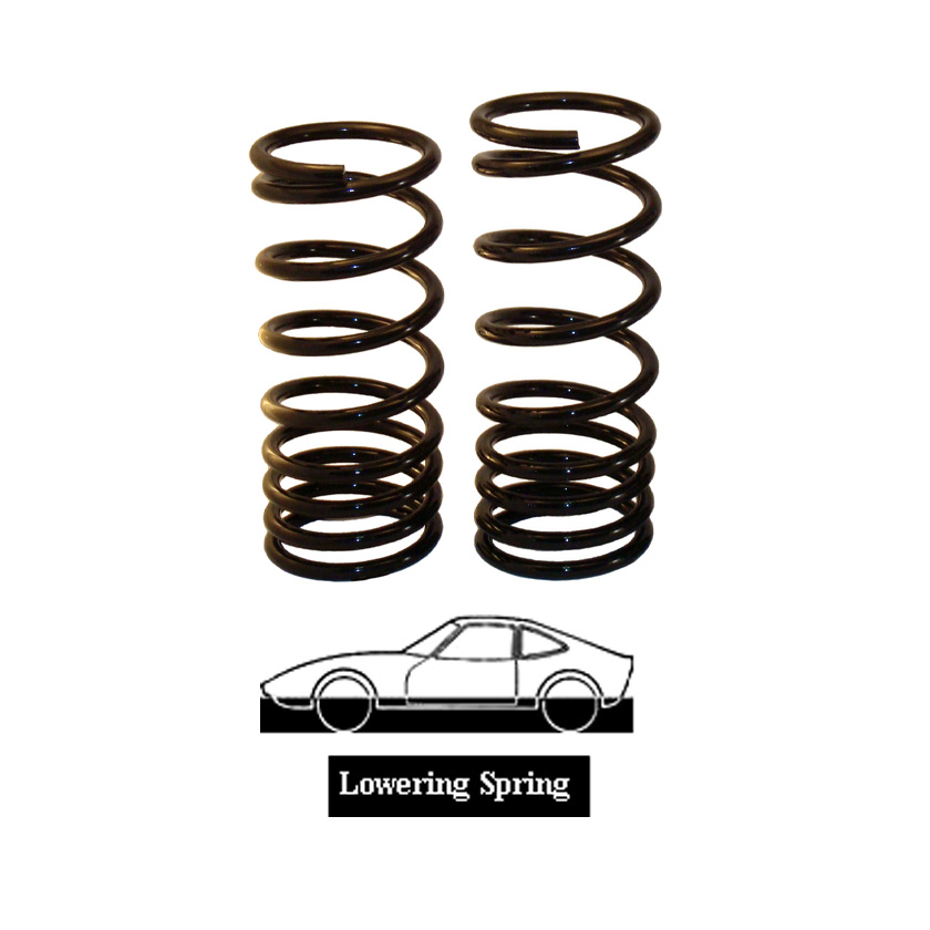 3004_opel_gt_rear_lowering_spring_photo