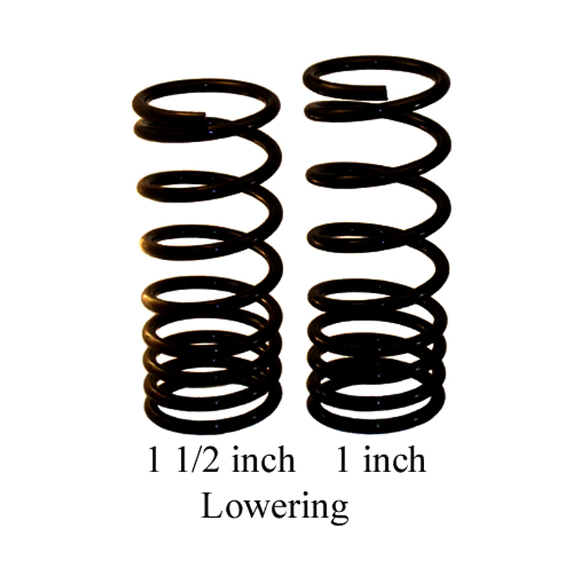 3004_opel_gt_rear_lowering_spring_photo02