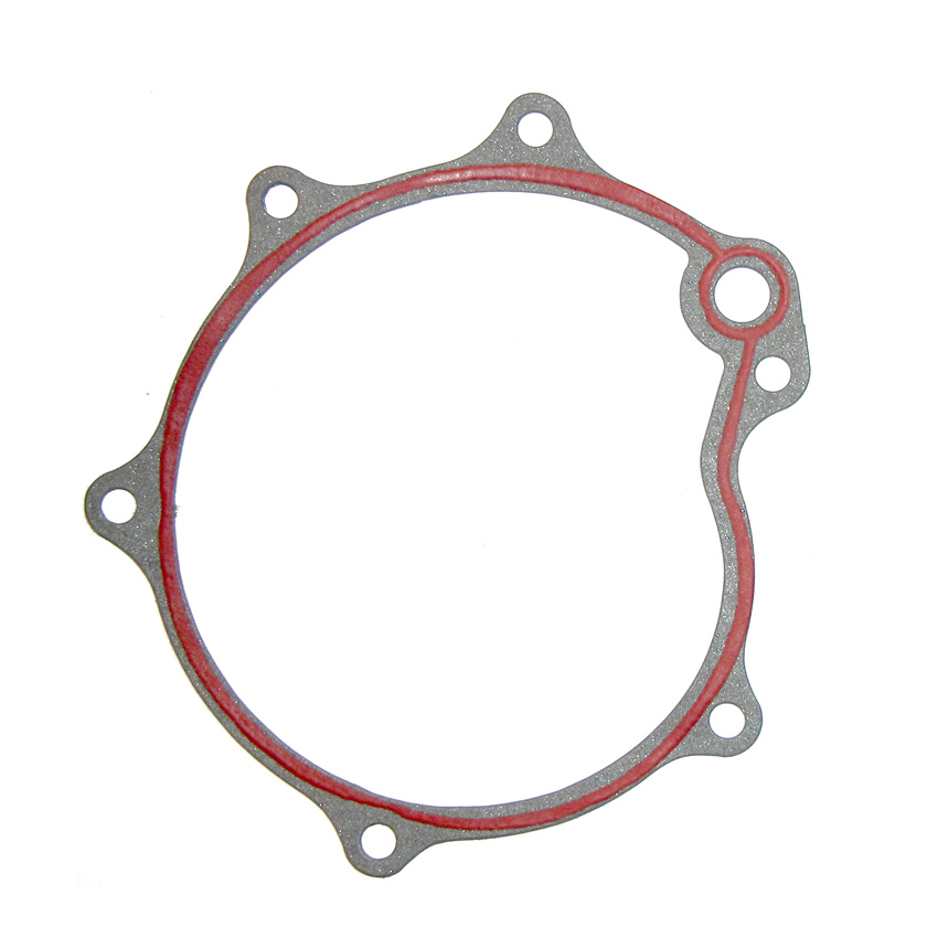 6010_opel_water_pump_gasket_photo